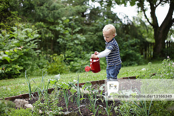 Kleinkind Junge gießt Pflanzen im Garten