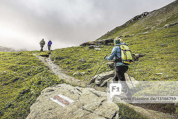 Rear view of three hikers hiking up path  Fil de Cassons  Segnesboden  Graubunden  Switzerland