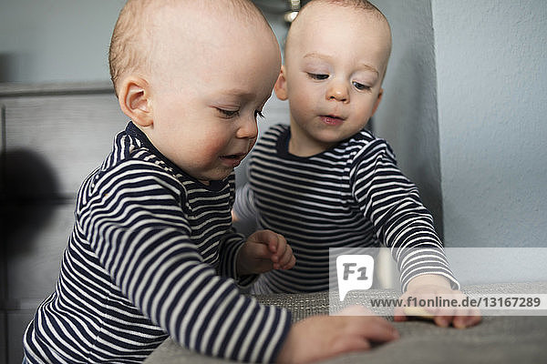 Baby twin brothers playing with biscuits in living room