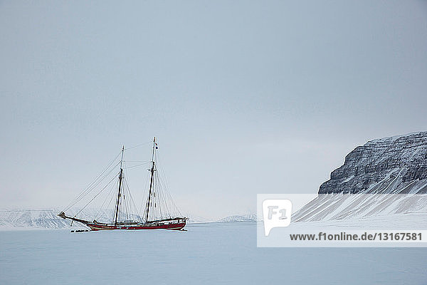 Die Noorderlicht ein holländischer Schoner. Jedes Jahr wird die Nooderlicht in Spitzbergen im Eis eingefroren und dient als ausgezeichnetes Basislager in der Wildnis perfekt zum Aufspüren von Eisbären.