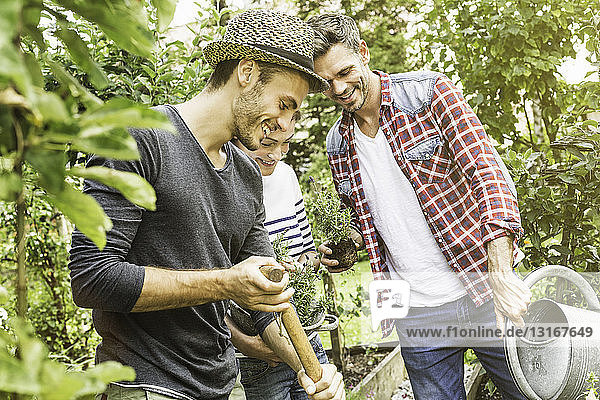 Drei Freunde bei der Gartenarbeit