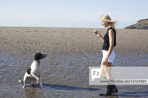 Frau hält Ball für Hund am Strand  Wales  UK