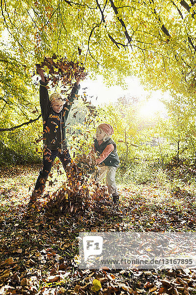 Kinder beim Spielen  Arme heben  Herbstblätter werfen