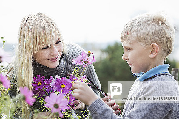 Mother and son cutting organic flowers in garden