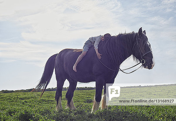 Junge umarmt Pferd  Rosudgen  Cornwall  Vereinigtes Königreich