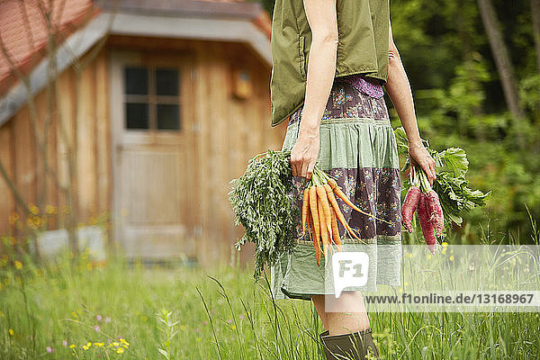 Schrägansicht einer Frau  die Gemüse auf dem Feld trägt