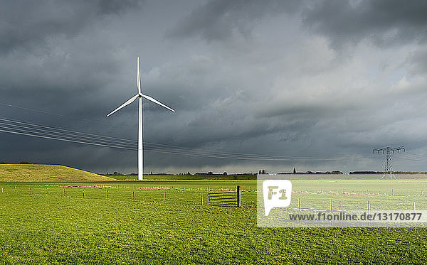 Windturbine und Sonnenkollektoren auf ehemaliger Mülldeponie  Waalwijk  Noord-brabant  Niederlande