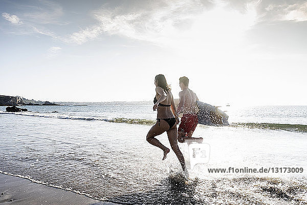 France  Brittany  young couple with surfboard running in the sea