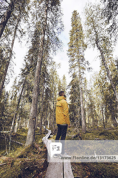 Schweden  Lappland  Mann mit Windjacke steht auf einer Strandpromenade in den Wäldern und schaut in die Ferne