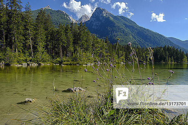 Deutschland  Bayern  Oberbayern  Berchtesgadener Land  Ramsau  Nationalpark Berchtesgaden  Hintersee  Hochkalter