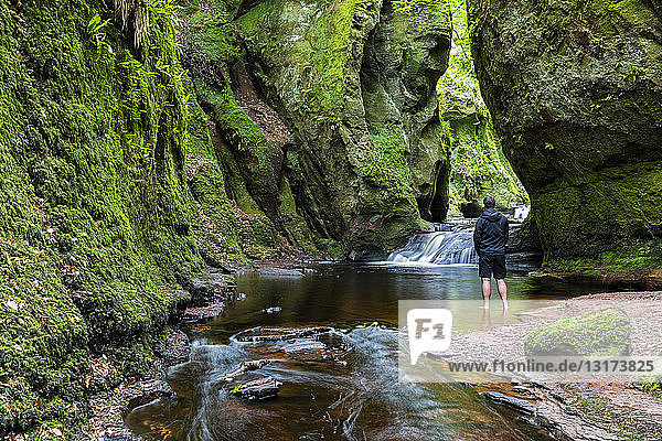 Großbritannien  Schottland  Trossachs-Nationalpark  Finnich-Glen-Canyon  The Devil's Pulpit  River Carnock Burn  männlicher Tourist im Wasser stehend