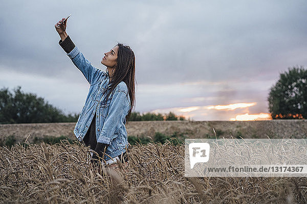 Junge Frau bei Sonnenuntergang in einem Maisfeld mit einem Smartphone