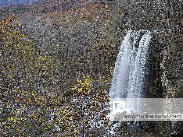 USA  Virginia  Falling Springs Wasserfall