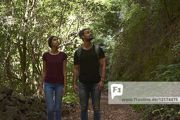 Spain  Canary Islands  La Palma  couple walking through a forest looking around