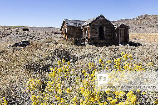 USA  Kalifornien  Sierra Nevada  Bodie State Historic Park  verlassenes Holzhaus