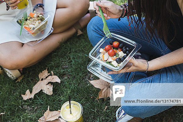 Girl friends sitting in a park  eating salad