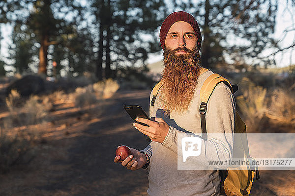 USA  Nordkalifornien  bärtiger Mann mit Handy und Apfel in einem Wald in der Nähe des Lassen Volcanic National Park
