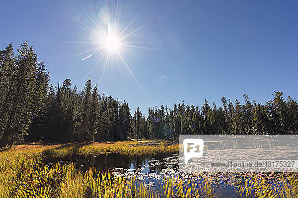 USA  Kalifornien  Yosemite National Park  See gegen die Sonne im Herbst