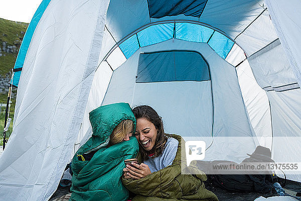 Freunde  die in einem Zelt zelten und Spaß daran haben  auf ihr Smartphone zu schauen