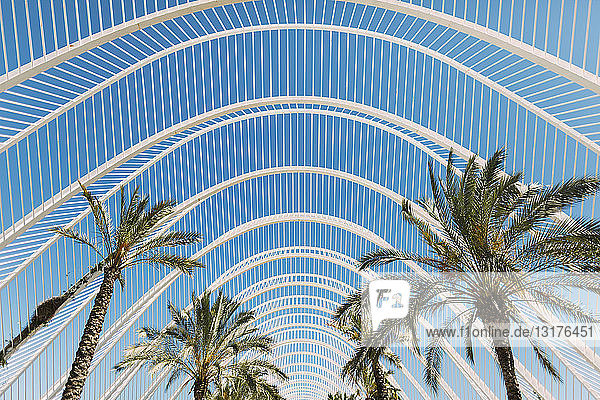 Spanien Valencia Ciudad de las Artes y de Las Ciencias L'Umbracle Palmengarten