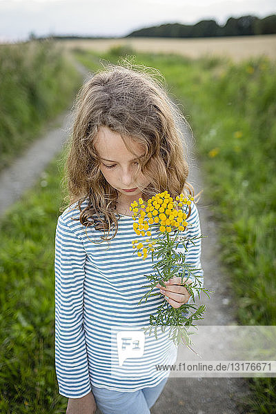 Girl standing on field path holding a wild flower