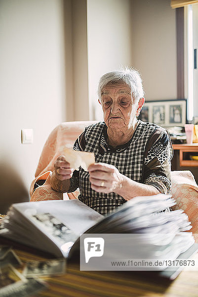 Ältere Frau  die sich ein Foto ansieht  bevor sie es in ein Fotoalbum einfügt