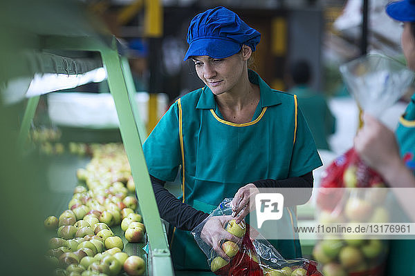 Frau verpackt Äpfel in der Fabrik in Plastiktüten
