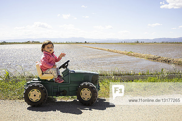 Kleines Mädchen fährt einen Spielzeugtraktor neben den Reisfeldern