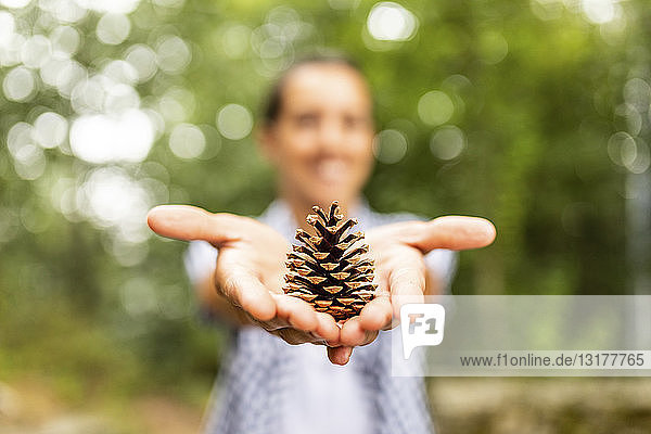 Pine cone in hands of a woman