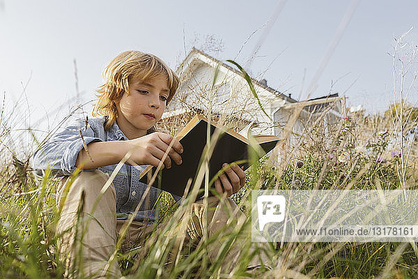 Porträt eines Jungen  der auf einer Wiese sitzt und ein Buch liest