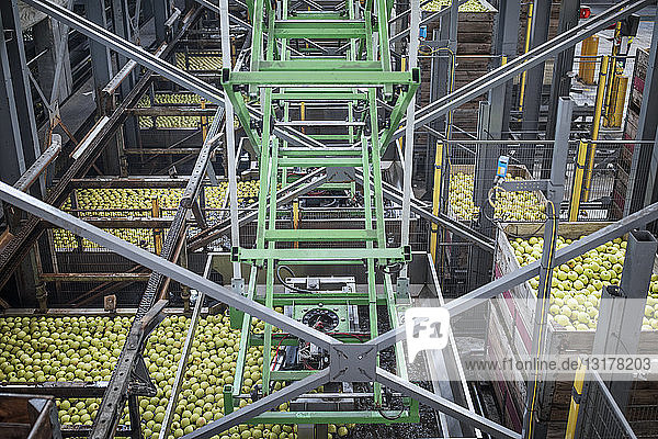 Äpfel in der Fabrik werden verpackt