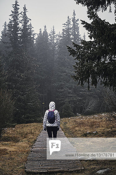 Bulgarien  Junger Yoman geht durch den Wald  Regenwetter