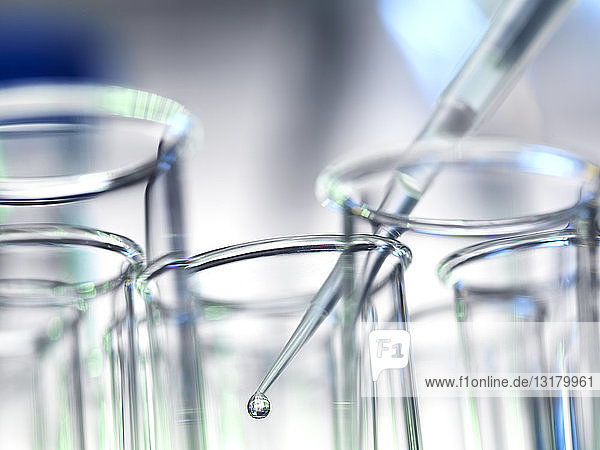 Wissenschaftler  der während eines Experiments im Labor eine Probe in ein Reagenzglas pipettiert