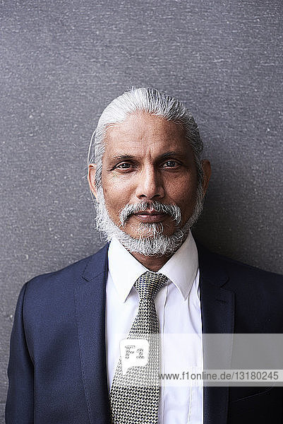 Porträt eines hochrangigen Geschäftsmannes mit grauem Haar und Bart in Anzug und Krawatte