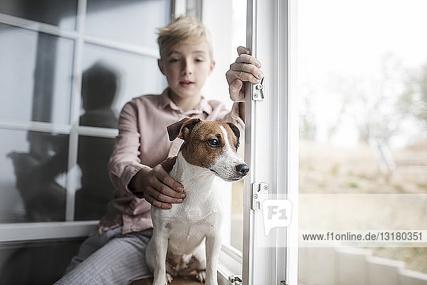 Porträt Jack Russel Terrier  der aus dem Fenster schaut  während der Junge im Hintergrund zuschaut
