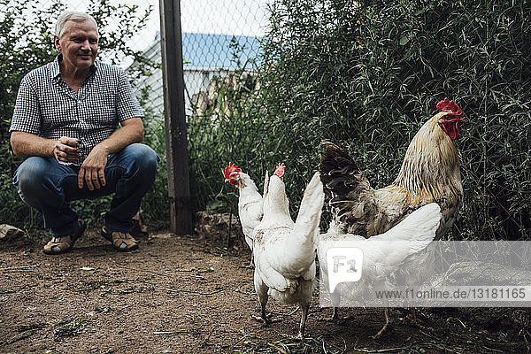 Ausgewachsener Mann im Garten mit seinen Hühnern