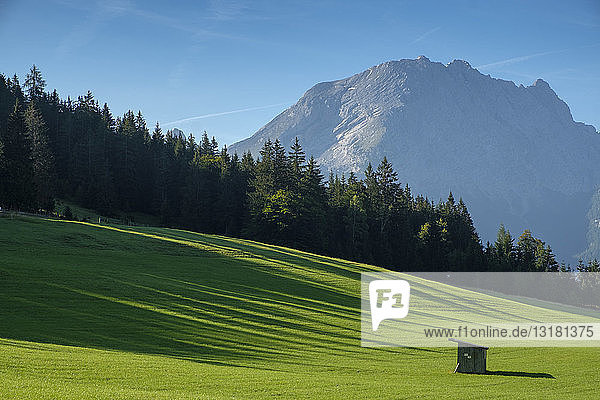 Deutschland  Bayern  Berchtesgadener Land  Berchtesgadener Alpen  Hochschwarzeck bei Ramsau  Watzmann im Hintergrund