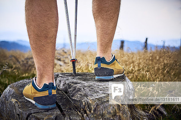 Close-up of man standing on tree stump during hiking trip