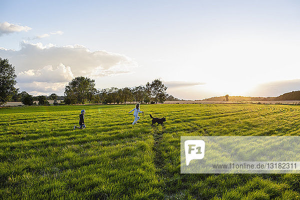 Two children with a dog running over a field at sunset