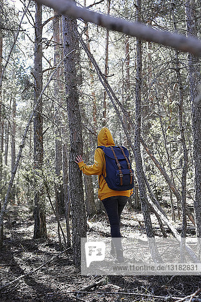 Rückansicht einer jungen Frau mit gelbem Pullover und blauer Tasche im Wald  auf Erkundung