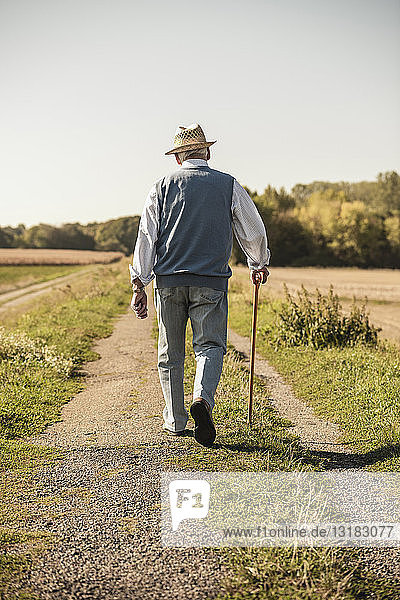 Älterer Mann mit Spazierstock  Spaziergang auf dem Feld  Rückansicht