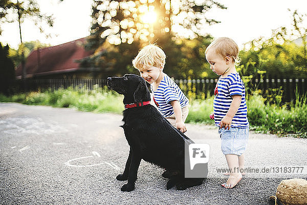 Kleinkind und seine kleine Schwester spielen mit Hund im Freien