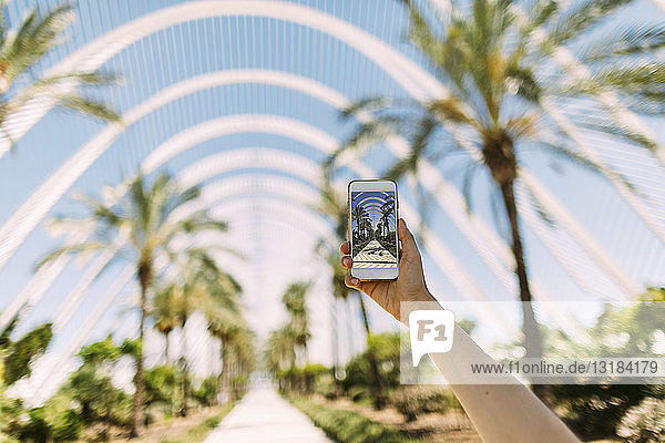 Spanien Valencia Ciudad de las Artes y de Las Ciencias L'Umbracle Frau macht Handyfoto im Palmengarten