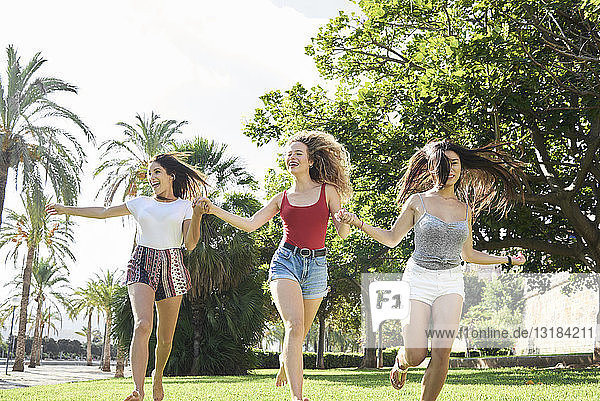 Spanien  Mallorca  Palma  drei glückliche junge Leute  die im Sommer in einem Park Hand in Hand laufen