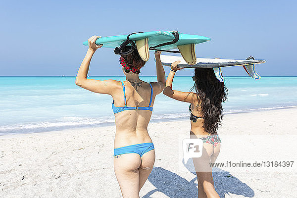 Freunde gehen surfen und tragen Surfbretter auf dem Kopf