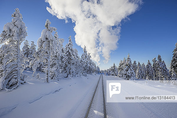 Deutschland  Sachsen-Anhalt  Nationalpark Harz  Brocken  Gleise der Harzer Schmalspurbahn im Winter  Dampfwolke