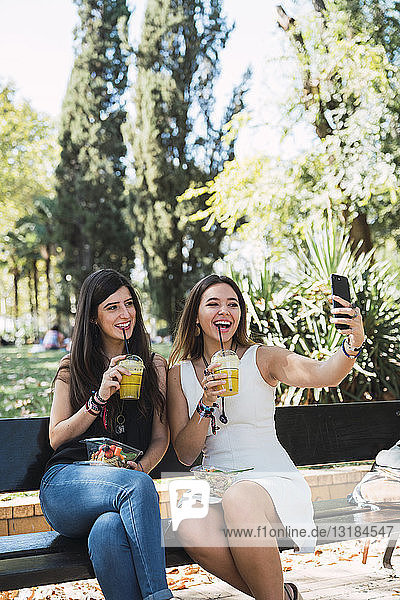 Girl friends sitting in a park  eating salad  drinking juice and taking selfies