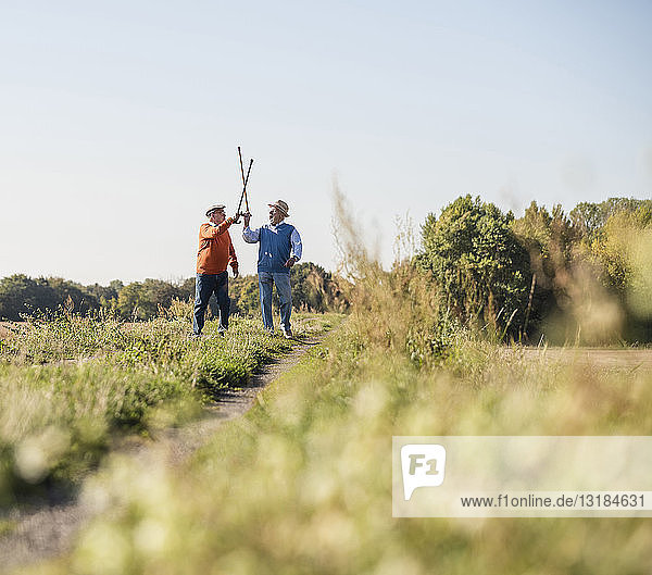 Zwei alte Freunde  die mit ihren Gehstöcken auf den Feldern fechten