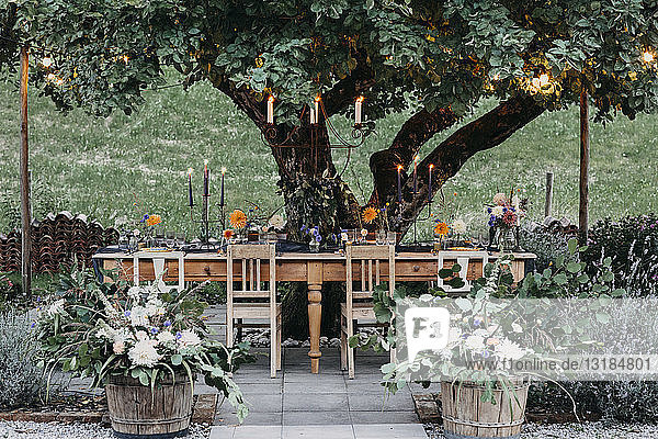 Festive laid table with candles under a tree