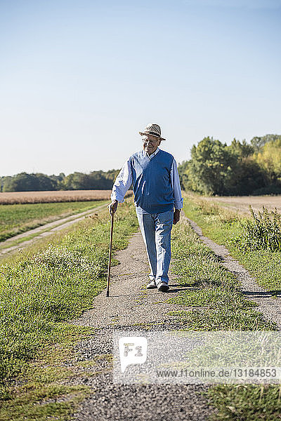 Senior man with a walking stick  walking in the fields
